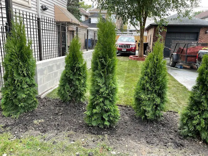 Family Garcia Hardscape & Landscape LLC Picture 8