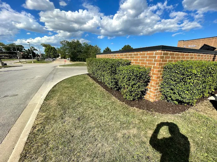 V&V Landscaping inc. Picture 6