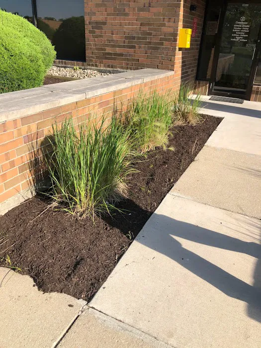 V&V Landscaping inc. Picture 4