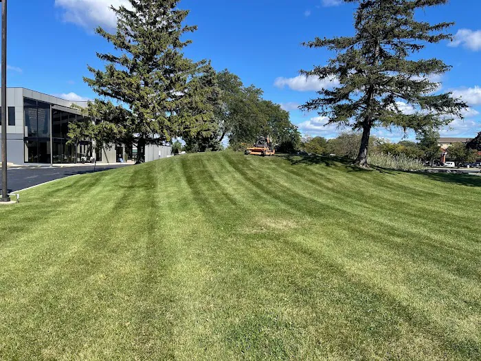 V&V Landscaping inc. Picture 1