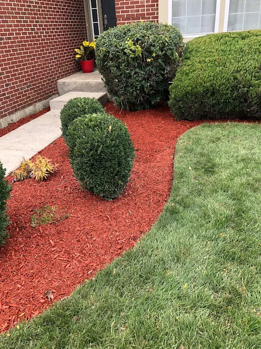 V&V Landscaping inc. Picture 3