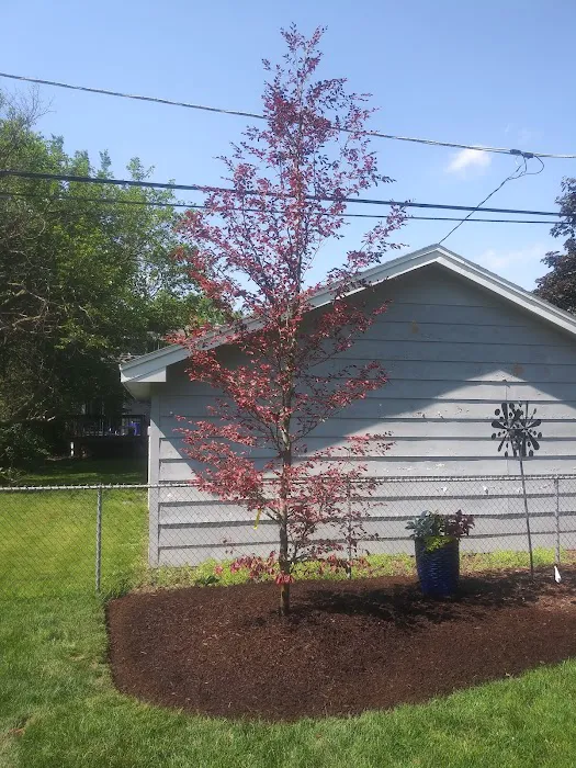 Mountain Landscaping Llc Picture 1