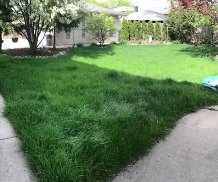 Leaf Green Lawn Care
