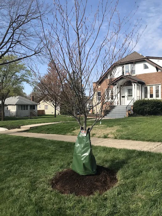 3M Landscaping Corporation Picture 7