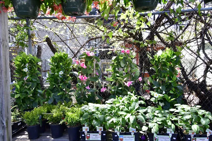 Fertile Garden Center LLC Picture 8