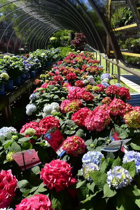 Fertile Garden Center LLC Picture 10