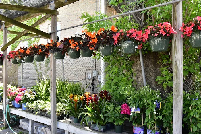 Fertile Garden Center LLC Picture 9