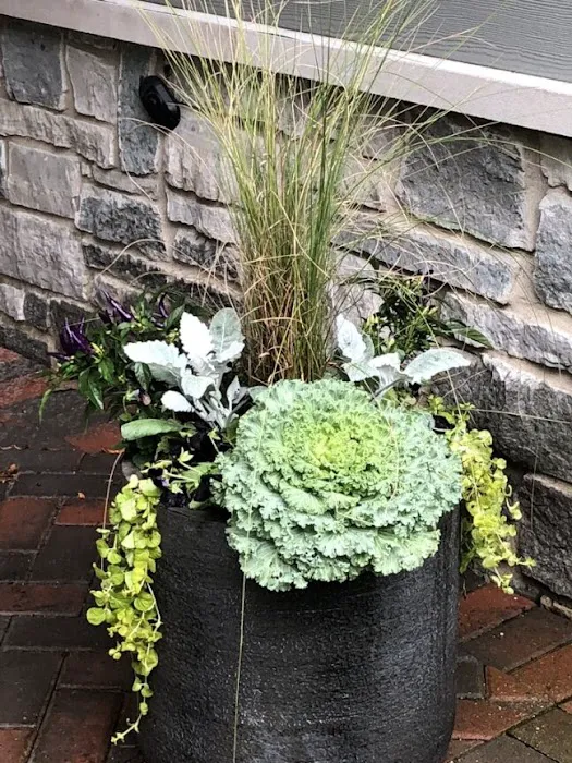 Contour Landscaping Inc Picture 9