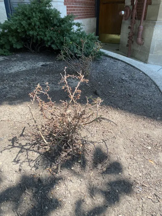 Contour Landscaping Inc Picture 10