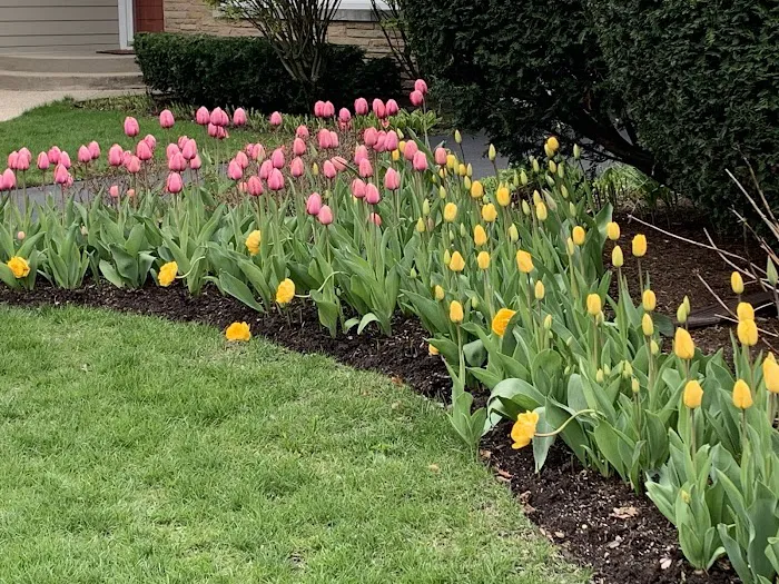 Contour Landscaping Inc Picture 8
