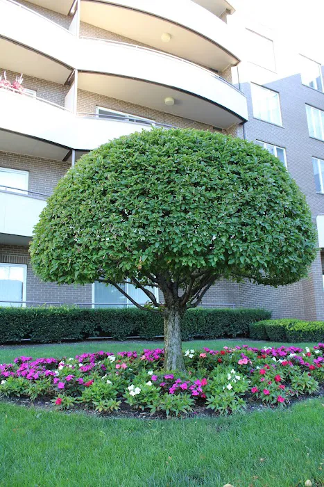 Contour Landscaping Inc Picture 7