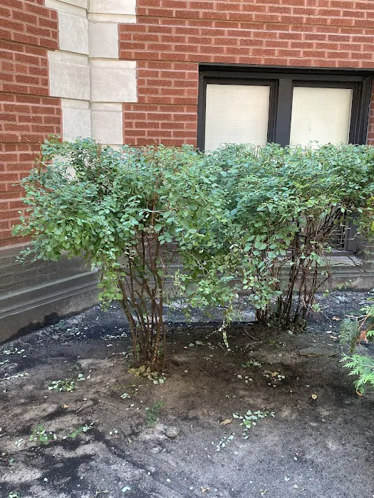 Contour Landscaping Inc Picture 3
