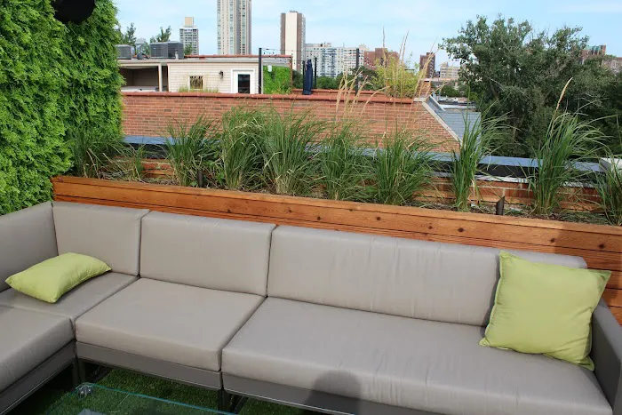 Urban Rooftops Picture 2