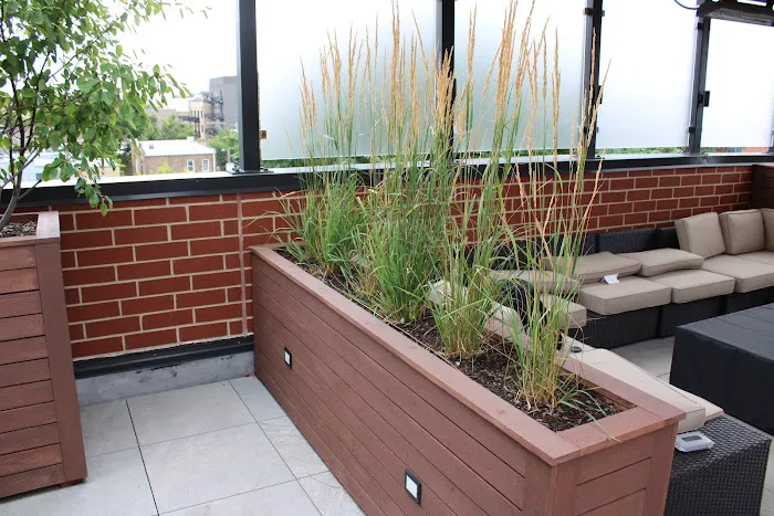 Urban Rooftops Picture 6