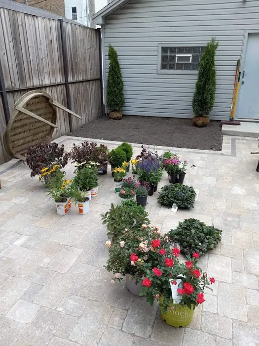 JM Landscape & construction Picture 9