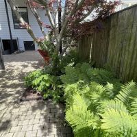 Landscaping Maintenance by Moritz Welt ico