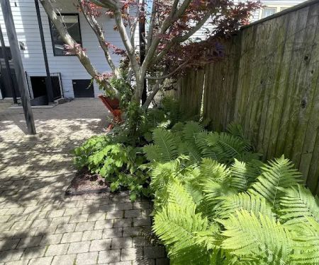 Landscaping Maintenance by Moritz Welt