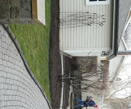 Cantellano Landscaping