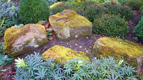 Avila Landscaping Picture 4