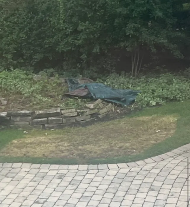 Lupfer Landscaping Picture 9