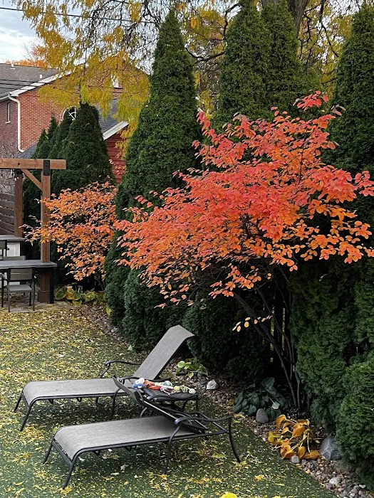Lupfer Landscaping Picture 6
