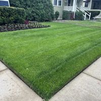 Lupfer Landscaping ico