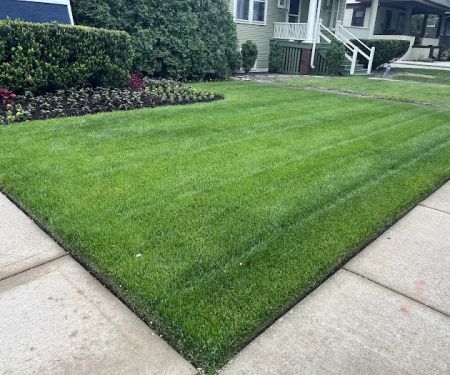 Lupfer Landscaping
