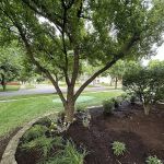 Royal Oak Landscaping