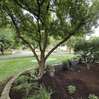 Royal Oak Landscaping ico