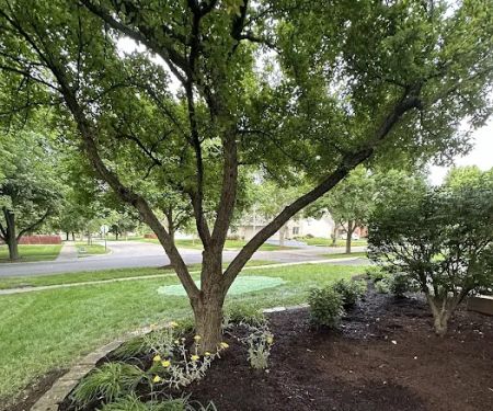Royal Oak Landscaping