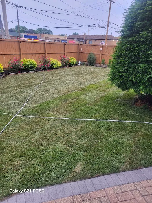 Dario Garcia Landscaping LLC Picture 6
