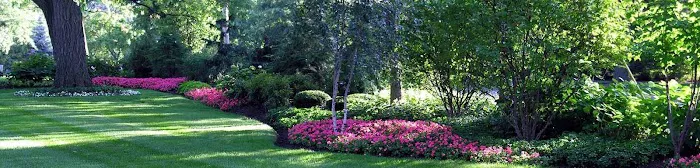 Dario Garcia Landscaping LLC Picture 1
