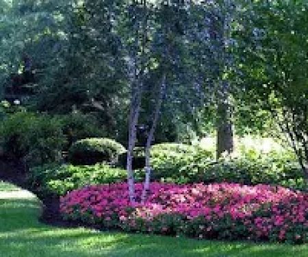Dario Garcia Landscaping LLC