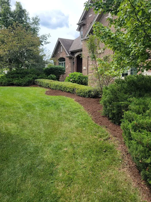 Cesar's Lawn Maintenance & Services Picture 4