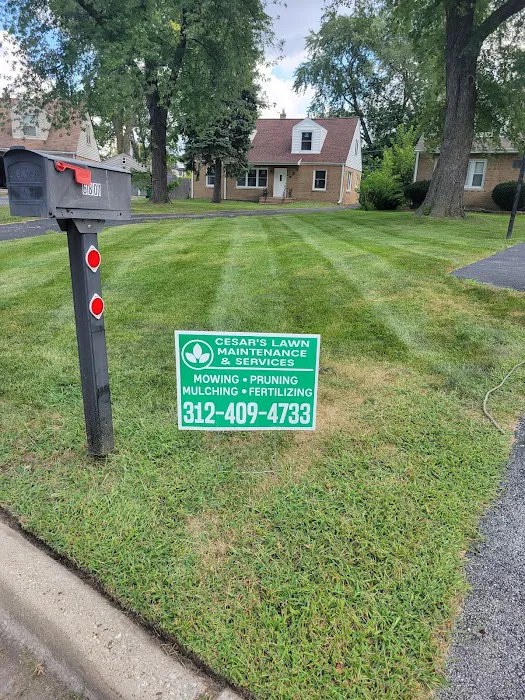 Cesar's Lawn Maintenance & Services Picture 5