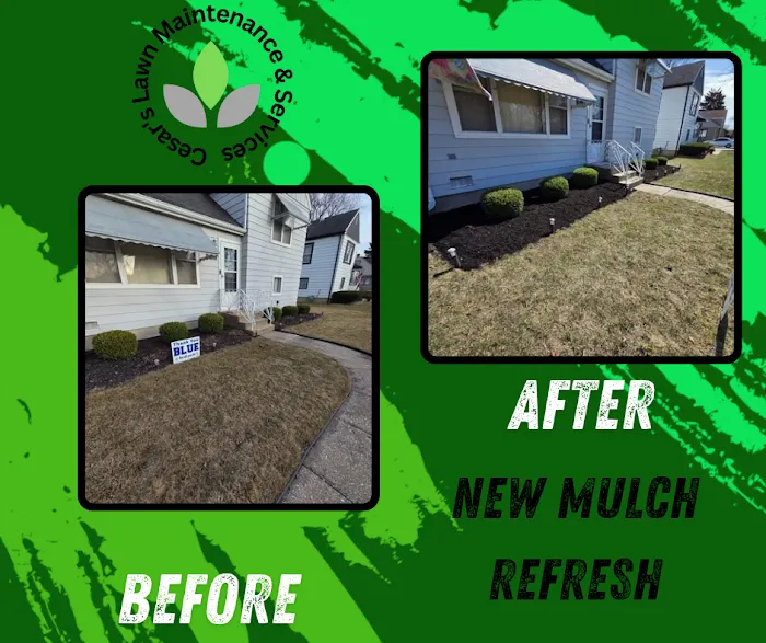 Cesar's Lawn Maintenance & Services Picture 8