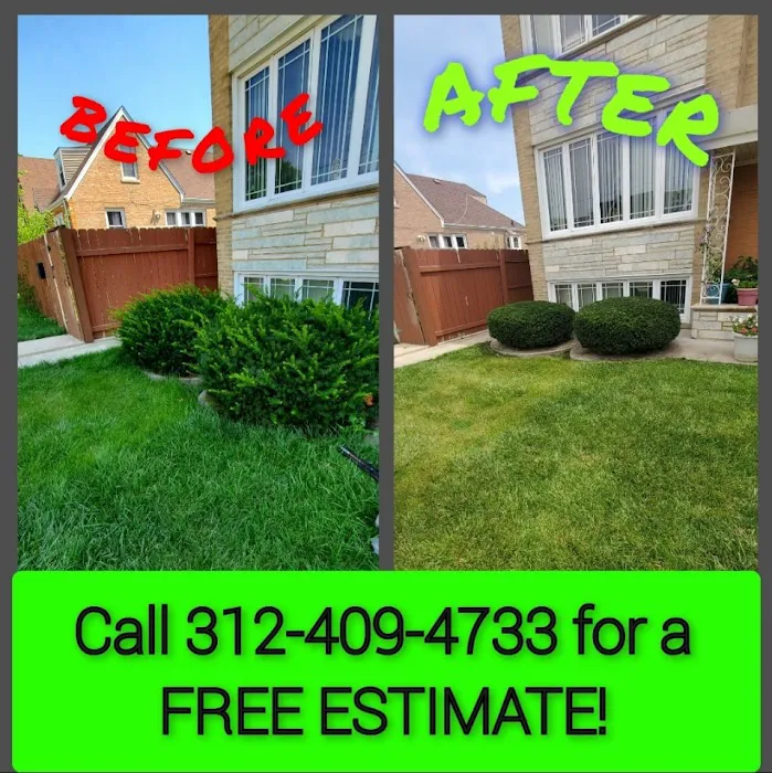 Cesar's Lawn Maintenance & Services Picture 7