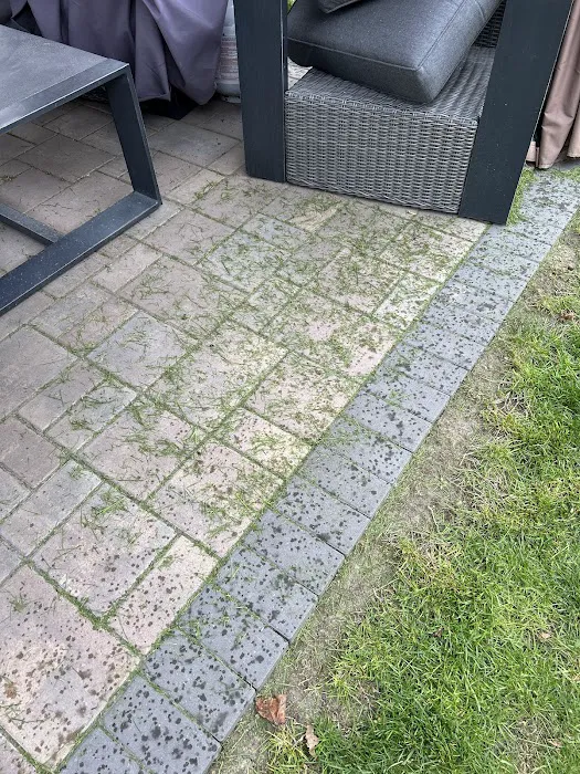 Cesar's Lawn Maintenance & Services Picture 9