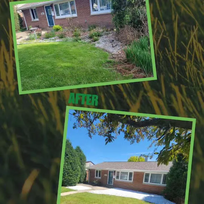 Cesar's Lawn Maintenance & Services Picture 10