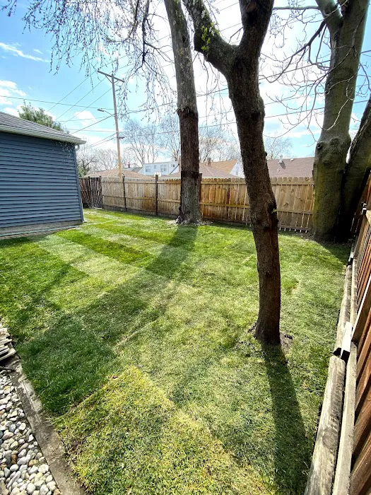 Nieto Landscaping Picture 8