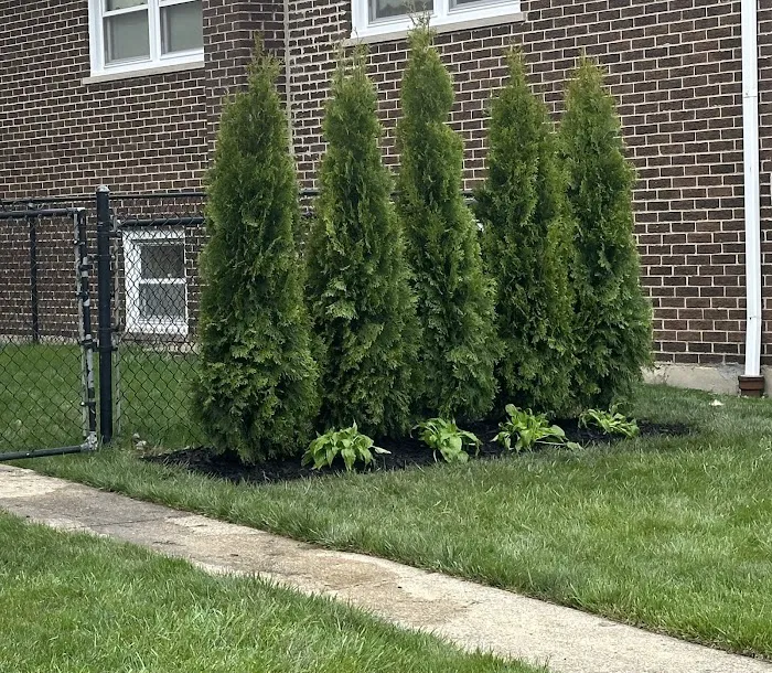 Maj Lawncare Incorporated Picture 7