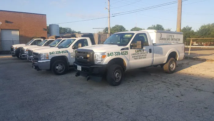 Lupe's Lawn Services Picture 9