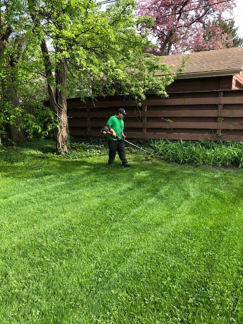 Lupe's Lawn Services Picture 1