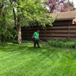 Lupe's Lawn Services
