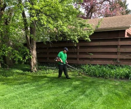 Lupe's Lawn Services