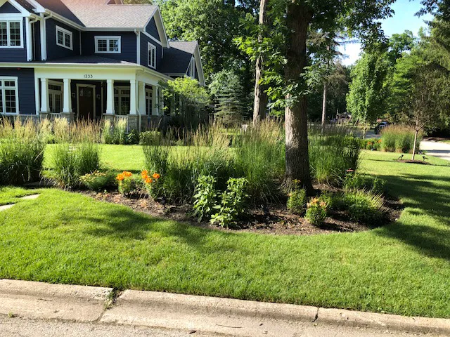 Lupe's Lawn Services Picture 4