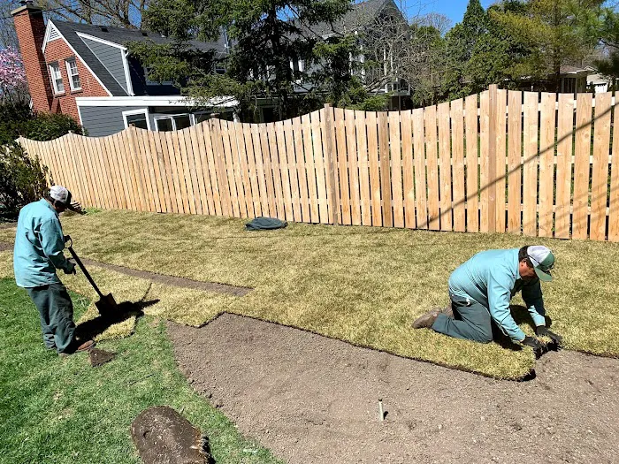 Lupe's Lawn Services Picture 3
