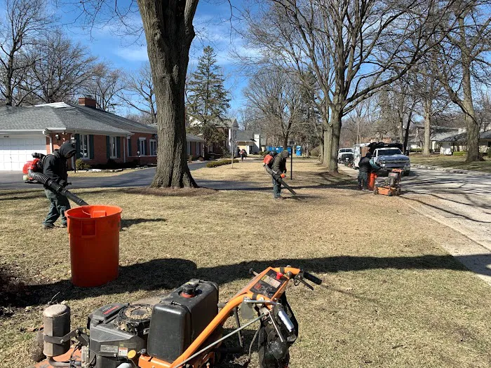 Lupe's Lawn Services Picture 7