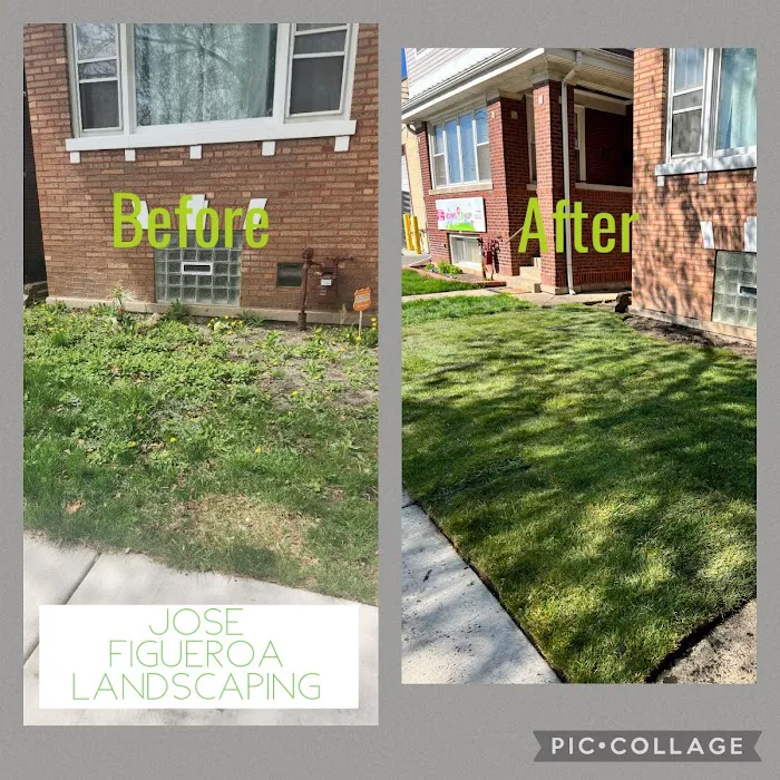 Jose Figueroa Landscaping LLC Picture 9