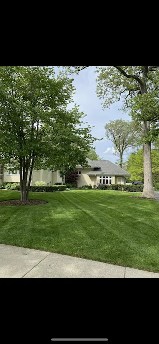 Jose Figueroa Landscaping LLC Picture 7